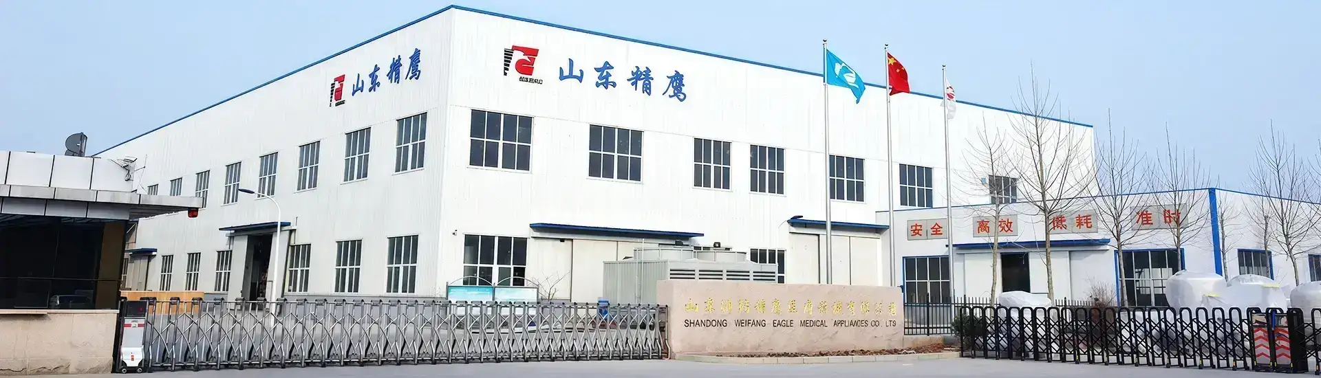 Company Profile