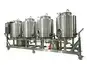 Cleaning in Place (CIP) System
